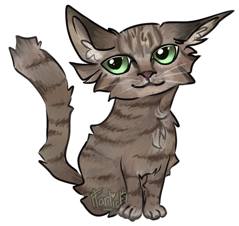 el gato el gato